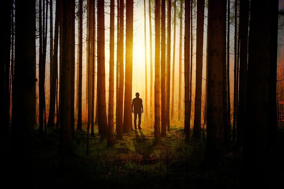 Wut im Wald lassen Holy Seven: Wenn seelisches Leid zu körperlichem Schmerz wird